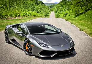 grey Lamborghini Huracan on pavement surrounded by green plants