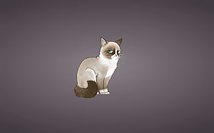 white and brown cat illustration
