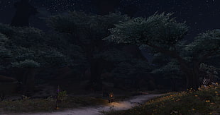 green tree and road, video games, World of Warcraft: Warlords of Draenor, World of Warcraft