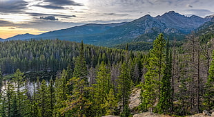 green leafed trees overlooking mountain range with lake during day time, rocky mountain national park
