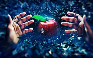 Hand,  Apple,  Battle,  Background HD wallpaper