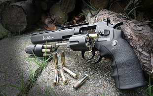 black anaconda pistol