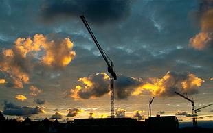 silhouette of black crane during golden hour, clouds, sky, cranes (machine), silhouette