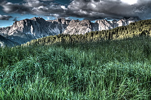 landscape photography of green grass field near mountain HD wallpaper