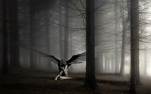 female angel graphic, angel, forest HD wallpaper