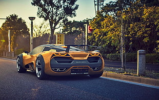 yellow and black sports car parked on concrete road beside road center island