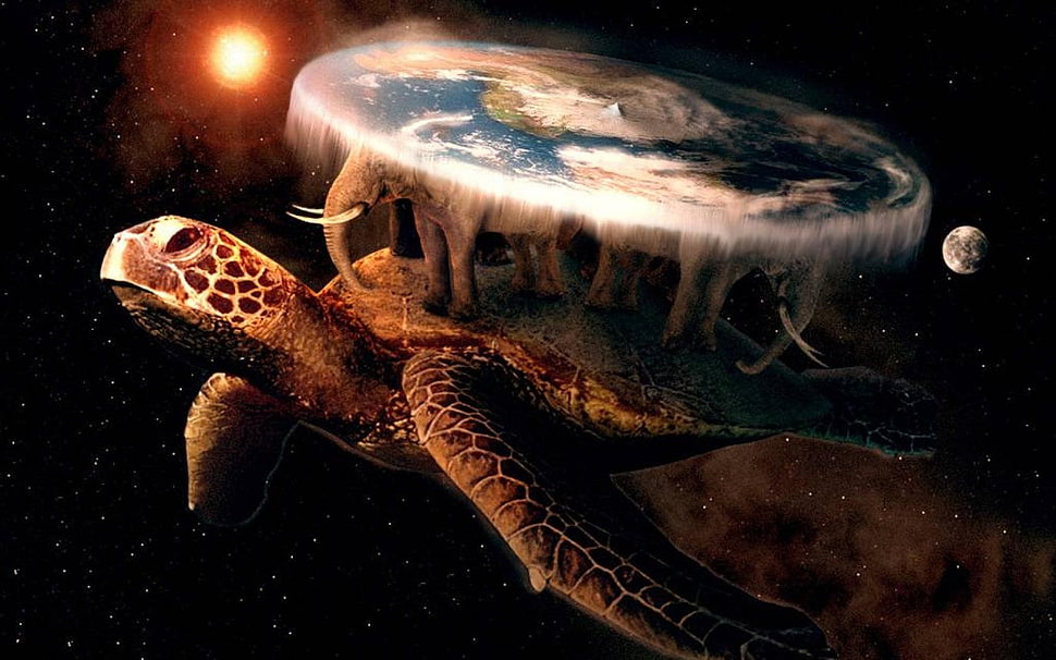 green turtle wallpaper, Discworld HD wallpaper