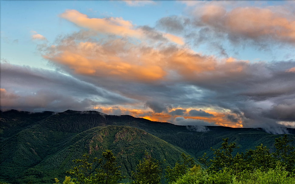 green mountain, landscape, clouds, forest HD wallpaper
