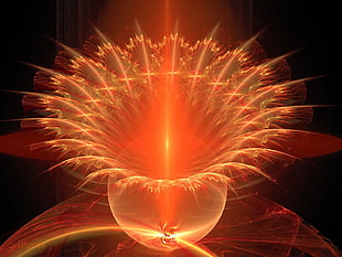 macro photography of red substance