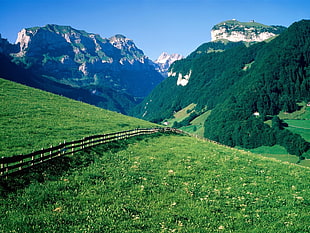 grass field overlooking mountains during daytime HD wallpaper