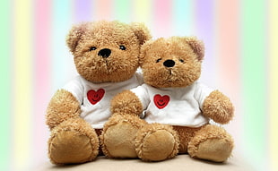 two brown couple bear plush toys HD wallpaper
