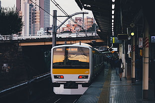 white train, Takashi Yasui, cityscape, Japan, train