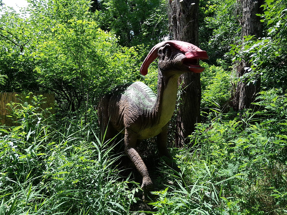 brown dinosaur, dinosaurs, creature, Parasaurus HD wallpaper