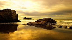 brown rock formation, nature, sea, coast HD wallpaper
