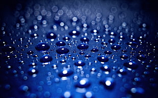 water drops, nature, blue, blue background, water drops HD wallpaper