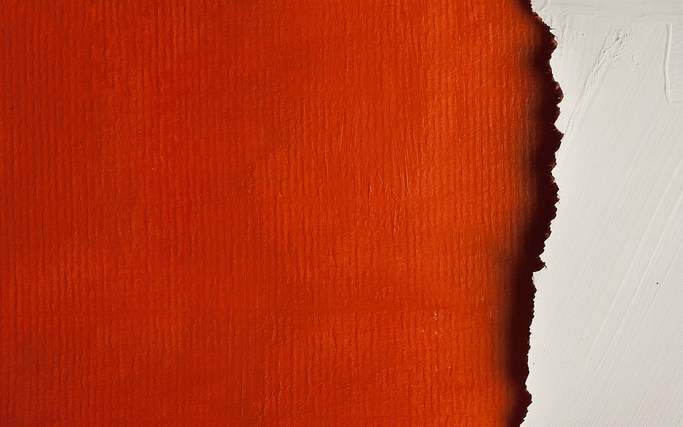 Surface,  Paint,  White,  Light HD wallpaper
