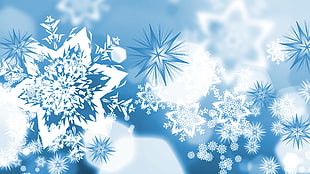 snowflakes illustration, vector, blue, winter, snowflakes HD wallpaper