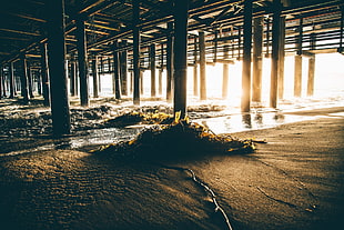 seashore, beach, California, sunset, sunlight HD wallpaper