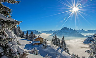 brown wooden house, winter, sun rays, cottage, snow
