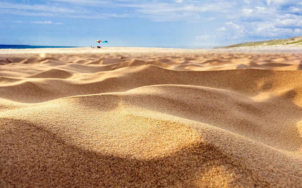brown and white area rug, sand, macro HD wallpaper