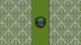 green and black wooden cabinet, Slytherin, Sonserina, Harry Potter, Hogwarts