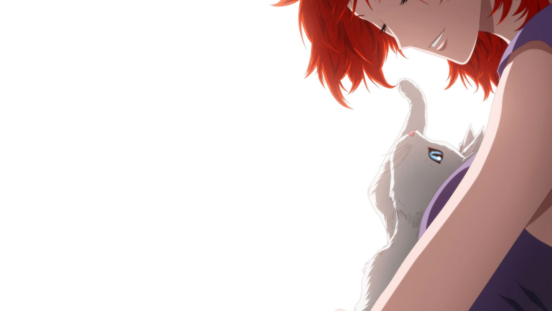 red haired female anime character holding gray cat
