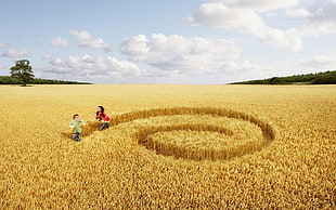 photo of man and woman running on wheat