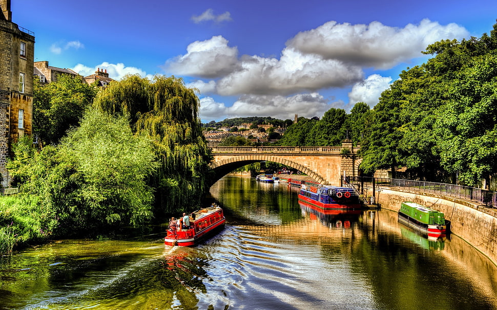 concrete bridge near trees HD wallpaper