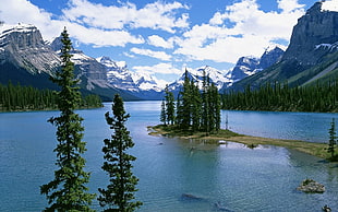 green pine trees, landscape, mountains, lake, Jasper National Park