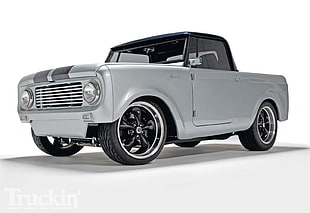 gray single cab pickup truck, car