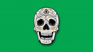 white and brown skull digital wallpaper, skull, green background, simple background