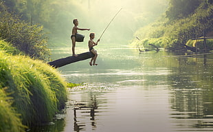 two boy standing and sitting on tree in front of lake during daytime