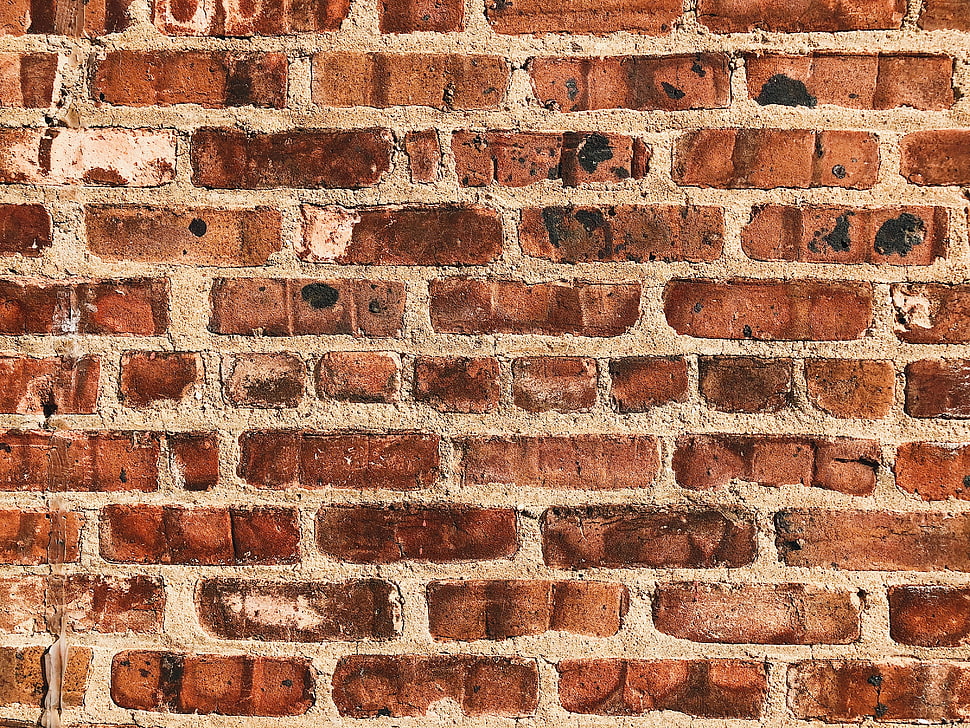 brown concrete bricks, Wall, Brick, Surface HD wallpaper