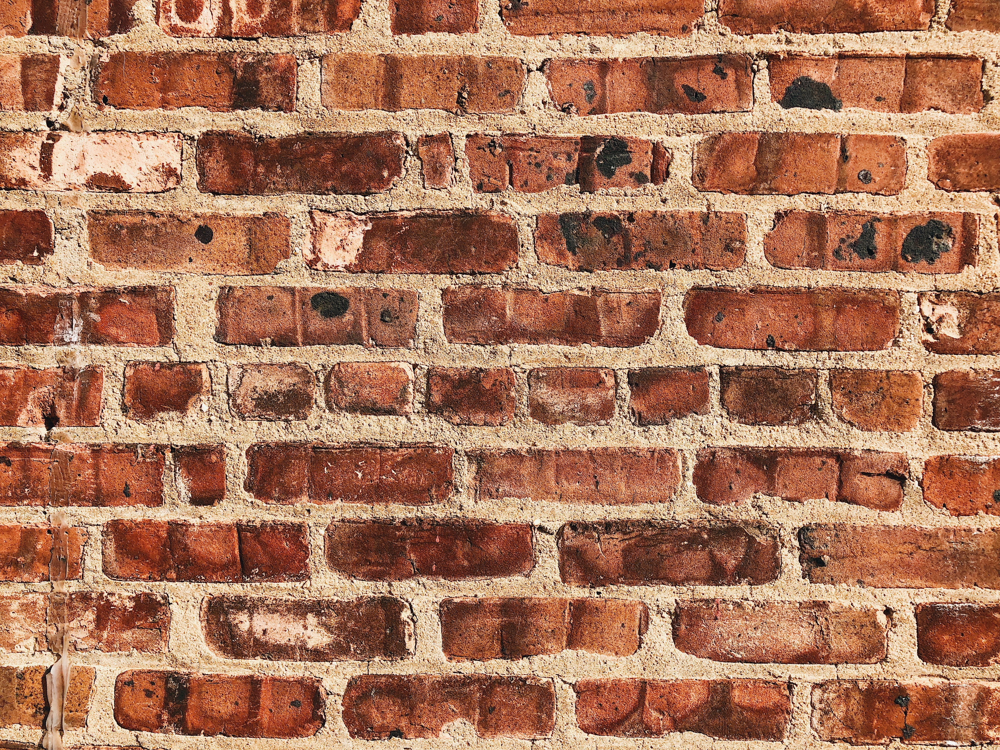 brown concrete bricks, Wall, Brick, Surface