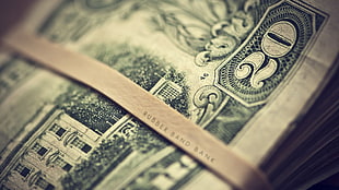 shallow focus photography bundle of 20 US Dollar bill
