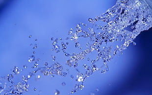 selective focus photography of sprinkled water