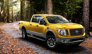 yellow Nissan crew-cab pickup truck on forest