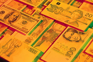 pile of assorted Banknotes HD wallpaper