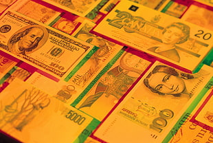 pile of assorted Banknotes