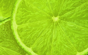 closeup photo of Lime fruit