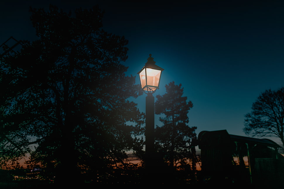 road light turned on during dusk HD wallpaper