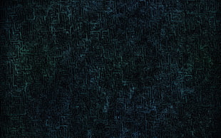 Maze,  Veins,  Dark,  Texture HD wallpaper