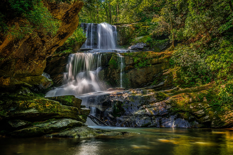 forest with waterfalls, bradley, saluda, north carolina HD wallpaper