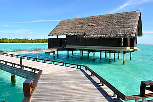 brown wooden house in body of water under blue sky, maldives