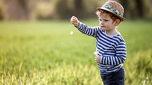 boy holding white dandelion, children, hat, dandelion, striped clothing