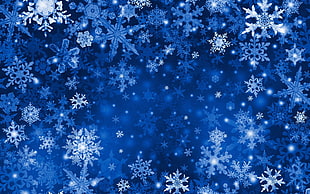 blue and white snowflakes HD wallpaper