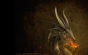 gray dragon digital wallpaper, dragon