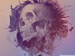 skull painting, skull, fantasy art, artwork HD wallpaper