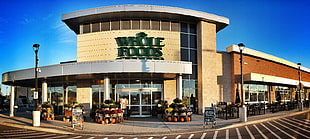 Whole Foods concrete building under blue sky HD wallpaper