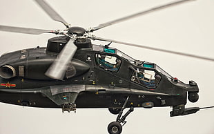 gray and black military chopper